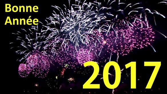 bonne-annee-2017